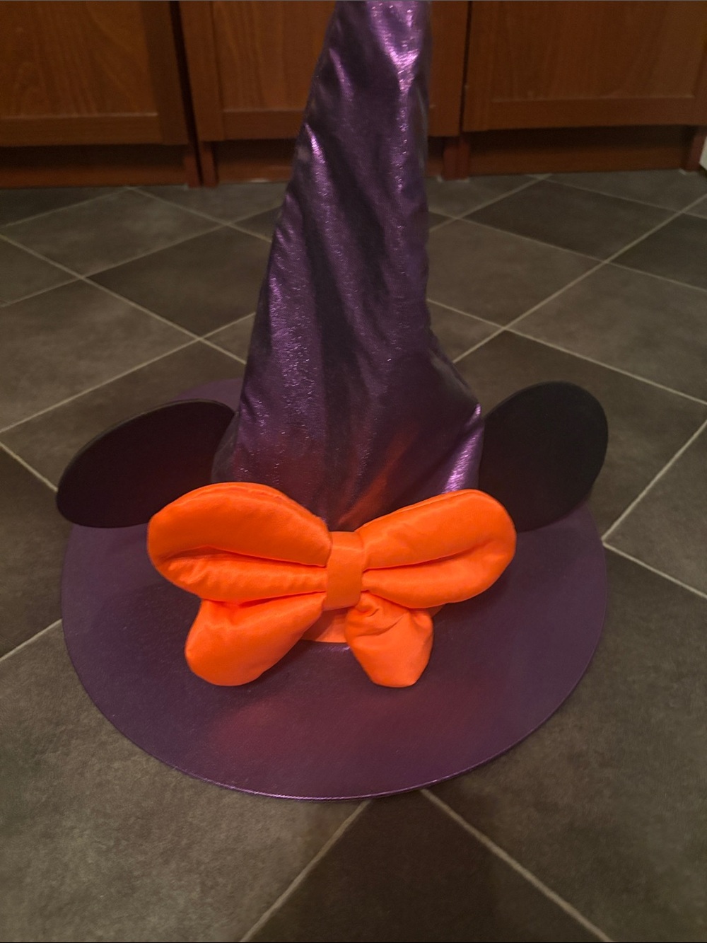 Disney parks adult mini year witch hat